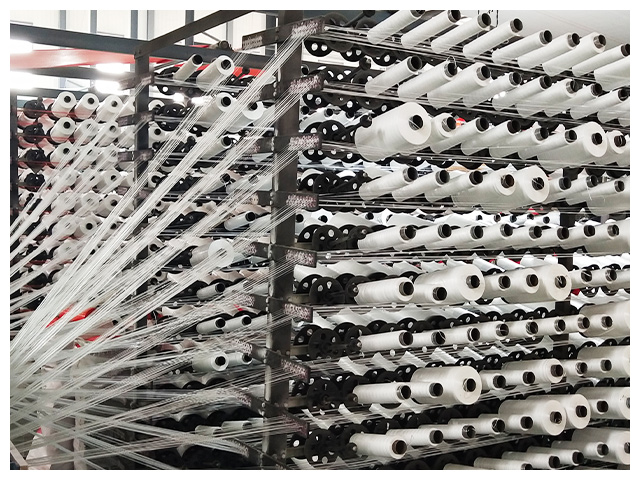 公司立志打造中国地毯、土工合成材料、包装领域的龙头企业。